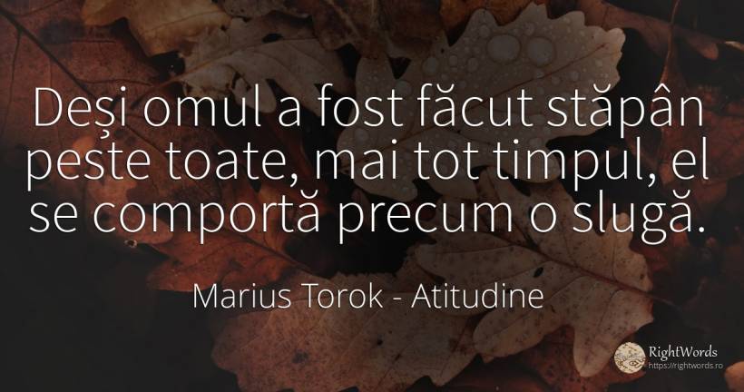 Deși omul a fost făcut stăpân peste toate, mai tot... - Marius Torok (Darius Domcea), citat despre atitudine, comportament, timp, oameni