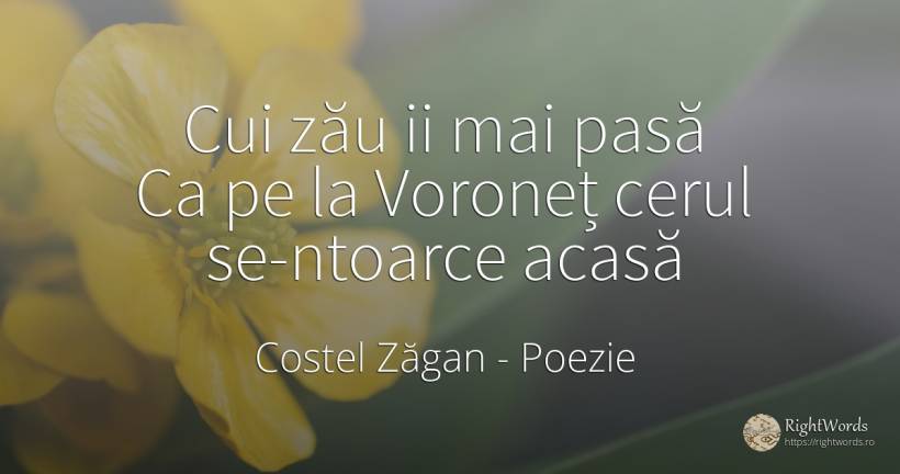 Cui zău ii mai pasă Ca pe la Voroneț cerul se-ntoarce acasă - Costel Zăgan, citat despre poezie, acasă, cer