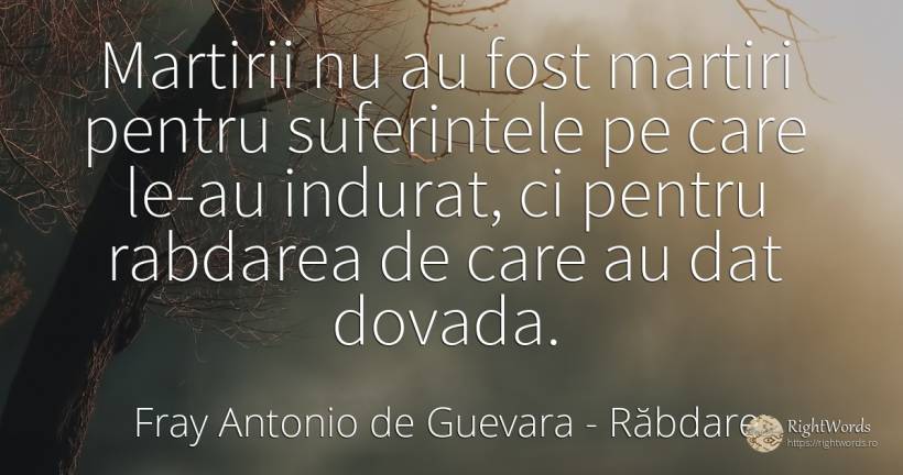 Martirii nu au fost martiri pentru suferintele pe care... - Fray Antonio de Guevara, citat despre răbdare, suferință