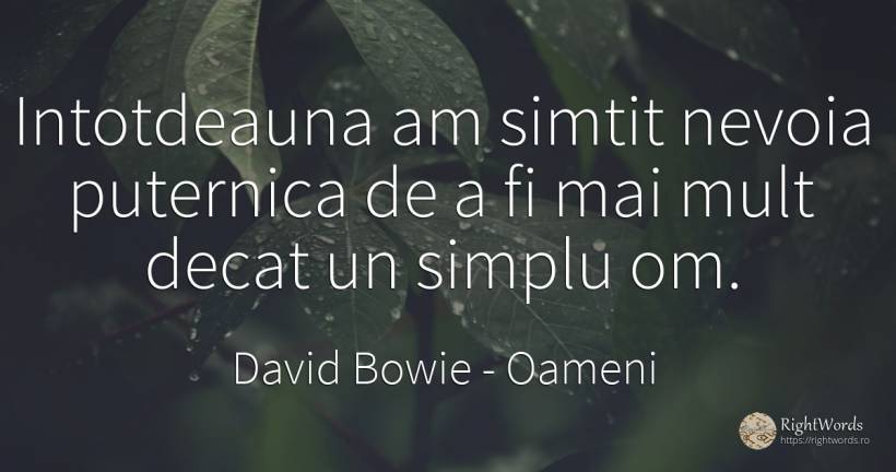 Intotdeauna am simtit nevoia puternica de a fi mai mult... - David Bowie (David Robert Jones), citat despre oameni, bunul simț, simț, nevoie, simplitate