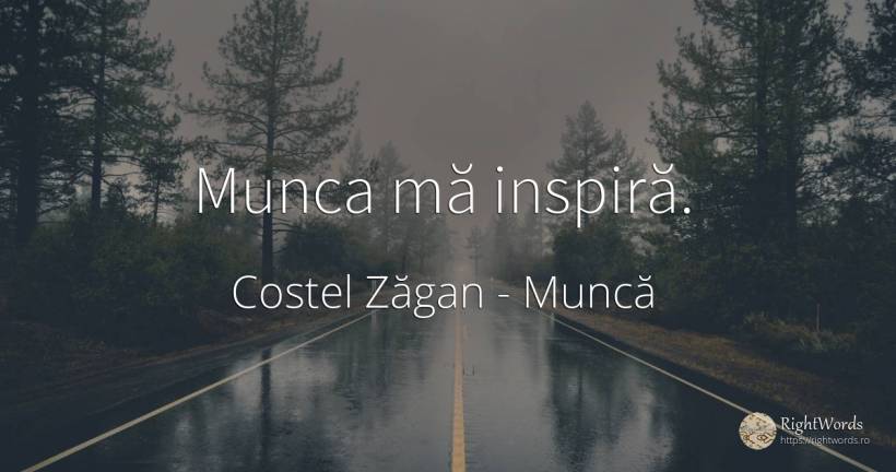 Munca ma inspira. - Costel Zăgan, citat despre muncă