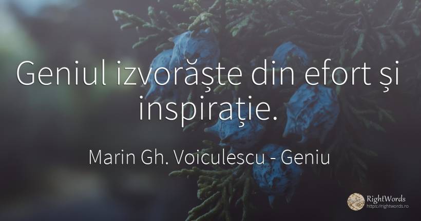 Geniul izvorăște din efort și inspirație. - Marin Gh. Voiculescu, citat despre geniu, inspirație