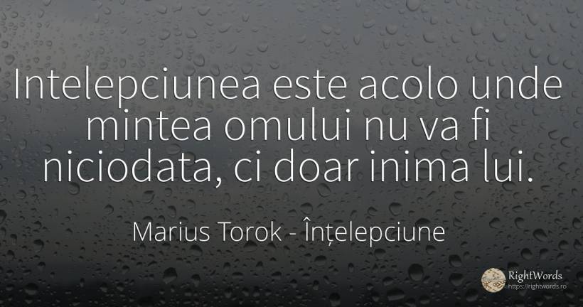 Intelepciunea este acolo unde mintea omului nu va fi... - Marius Torok (Darius Domcea), citat despre înțelepciune, minte, inimă