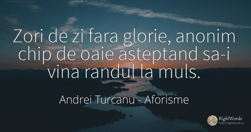 Zori de zi fara glorie, anonim chip de oaie asteptand... - Andrei Turcanu, citat despre aforisme, glorie, vinovăție