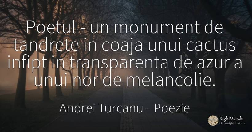 Poetul - un monument de tandrete in coaja unui cactus... - Andrei Turcanu, citat despre poezie, melancolie