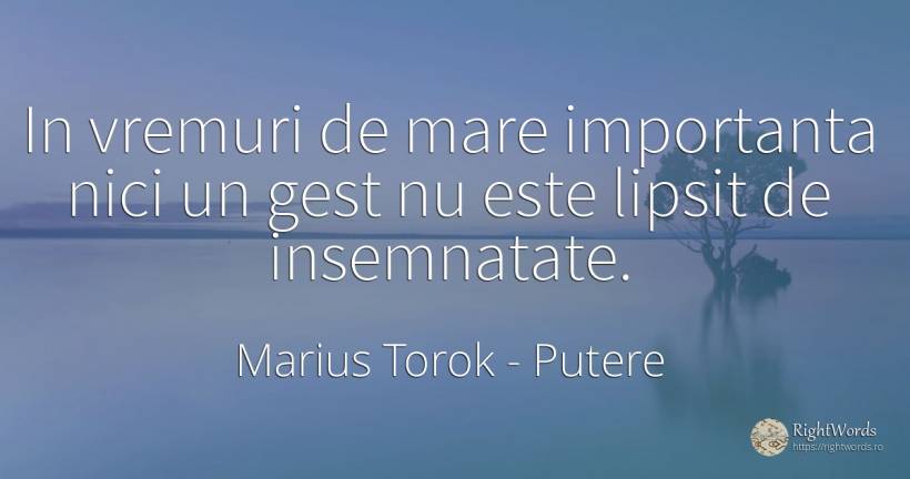 In vremuri de mare importanta nici un gest nu este lipsit... - Marius Torok (Darius Domcea), citat despre putere
