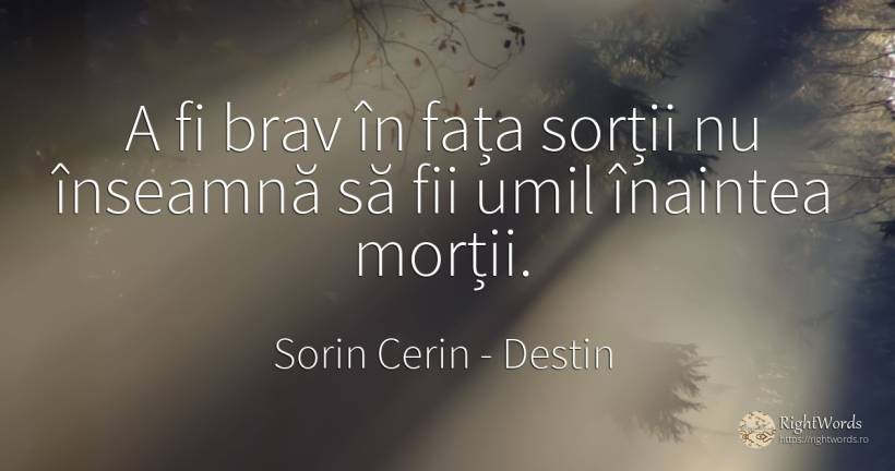 A fi brav în fața sorții nu înseamnă să fii umil înaintea... - Sorin Cerin, citat despre destin, moarte, înțelepciune, față