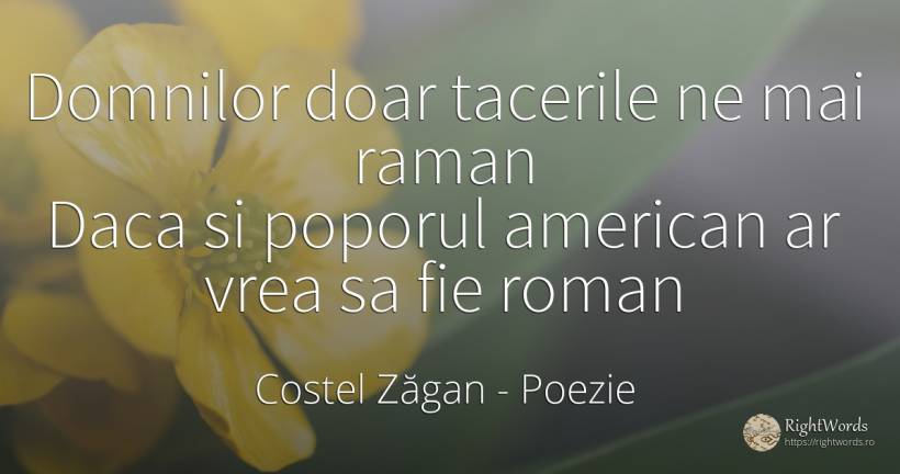 Domnilor doar tacerile ne mai raman Daca si poporul... - Costel Zăgan, citat despre poezie, americani, națiune