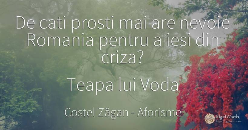 De cati prosti mai are nevoie Romania pentru a iesi din... - Costel Zăgan, citat despre aforisme, prostie, nevoie