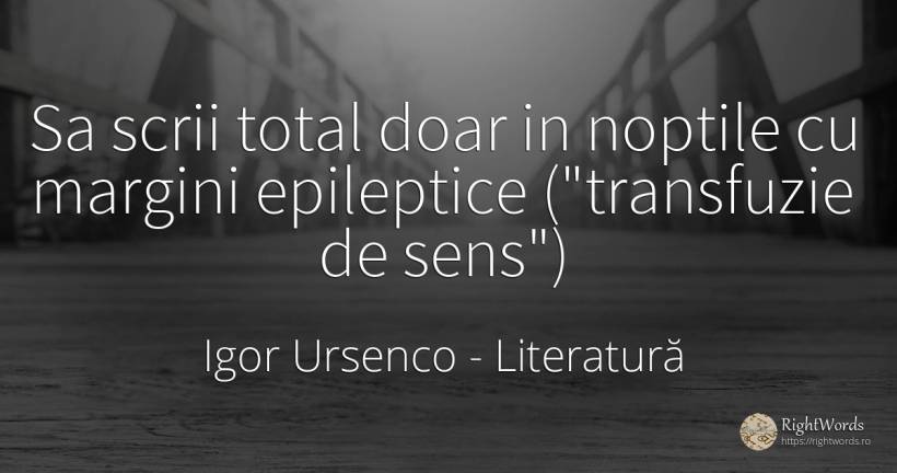 Sa scrii total doar in noptile cu margini epileptice... - Igor Ursenco, citat despre literatură, noapte, sens