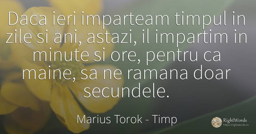 Daca ieri imparteam timpul in zile si ani, astazi, il... - Marius Torok (Darius Domcea), citat despre timp, zi