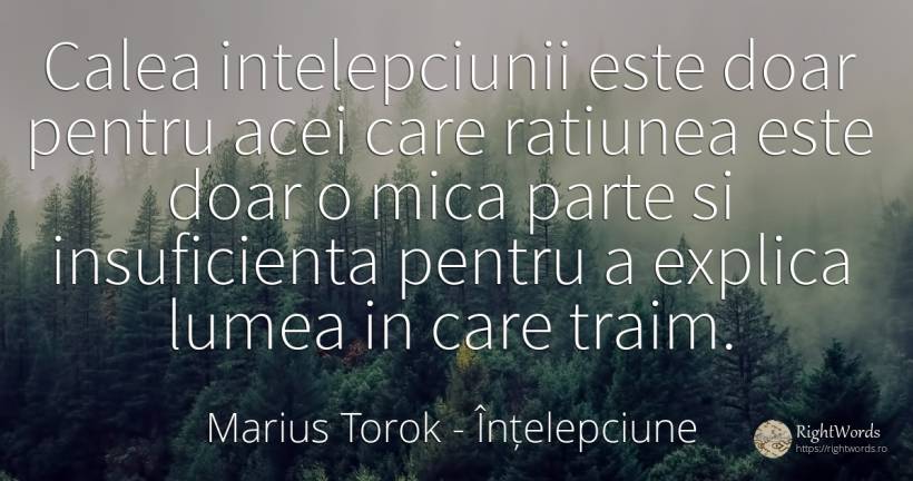 Calea intelepciunii este doar pentru acei care ratiunea... - Marius Torok (Darius Domcea), citat despre înțelepciune, rațiune, lume