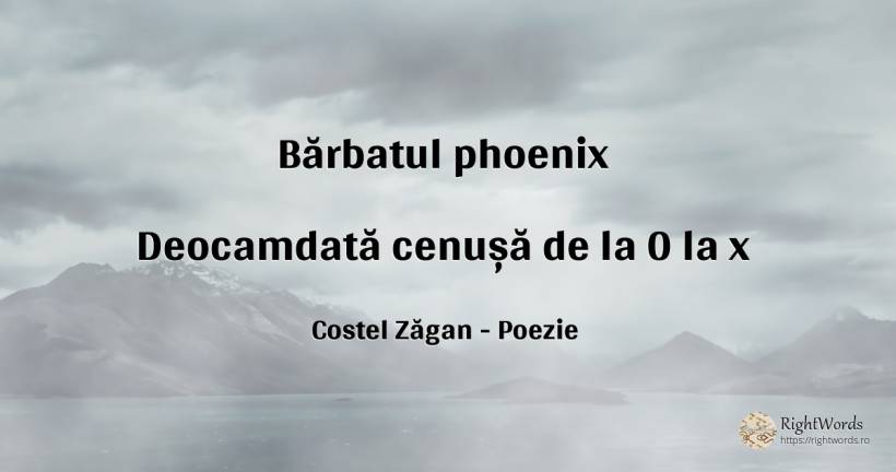 Bărbatul phoenix Deocamdată cenușă de la 0 la x - Costel Zăgan, citat despre poezie, bărbat
