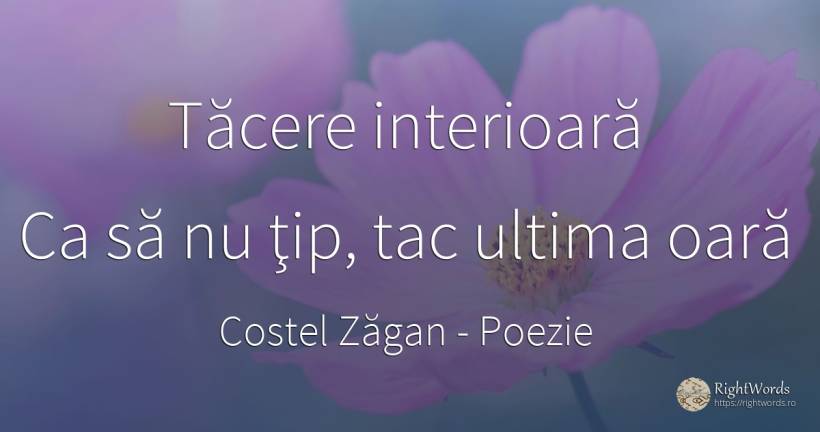Tăcere interioară Ca să nu ţip, tac ultima oară - Costel Zăgan, citat despre poezie, tăcere