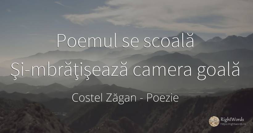 Poemul se scoală Şi-mbrăţişează camera goală - Costel Zăgan, citat despre poezie, școală