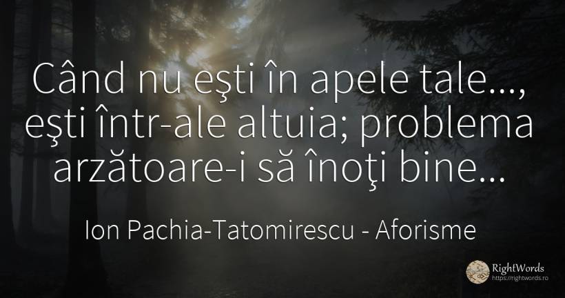 Când nu eşti în apele tale..., eşti într-ale altuia;... - Ion Pachia-Tatomirescu, citat despre aforisme, apă, probleme, bine