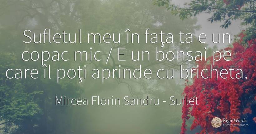 Sufletul meu în faţa ta e un copac mic / E un bonsai pe... - Mircea Florin Sandru, citat despre suflet, față
