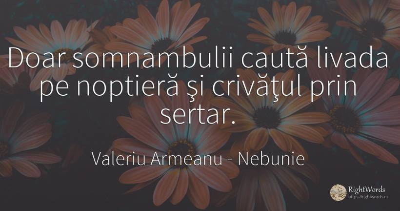 Doar somnambulii caută livada pe noptieră şi crivăţul... - Valeriu Armeanu, citat despre nebunie, grădină, căutare