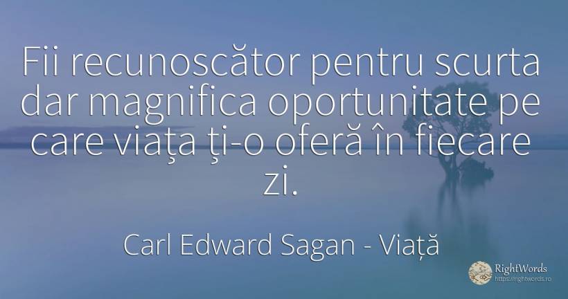 Fii recunoscător pentru scurta dar magnifica oportunitate... - Carl Edward Sagan, citat despre viață, șansă