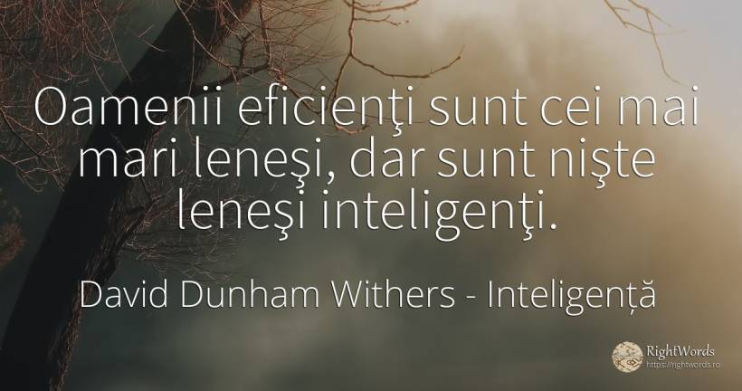 Oamenii eficienţi sunt cei mai mari leneşi, dar sunt... - David Dunham Withers, citat despre inteligență, lene, oameni