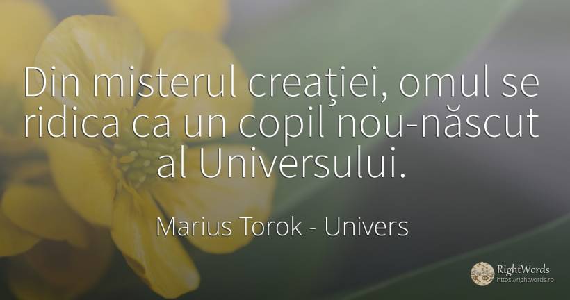 Din misterul creației, omul se ridica ca un copil... - Marius Torok (Darius Domcea), citat despre univers, mister, naștere, copii, oameni