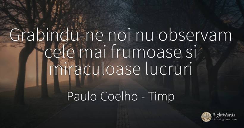 Grabindu-ne noi nu observam cele mai frumoase si... - Paulo Coelho, citat despre timp, frumusețe, lucruri