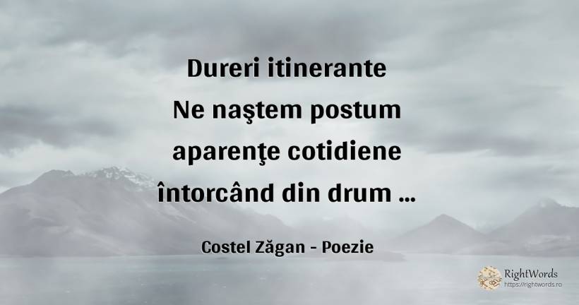 Dureri itinerante - Costel Zăgan, citat despre poezie, durere