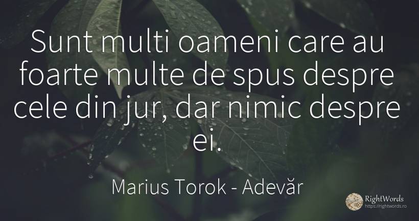 Sunt multi oameni care au foarte multe de spus despre... - Marius Torok (Darius Domcea), citat despre adevăr, oameni, nimic