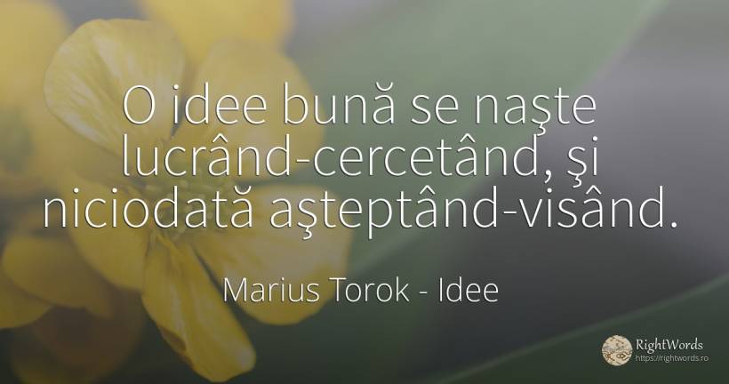 O idee bună se naşte lucrând-cercetând, şi niciodată... - Marius Torok (Darius Domcea), citat despre idee