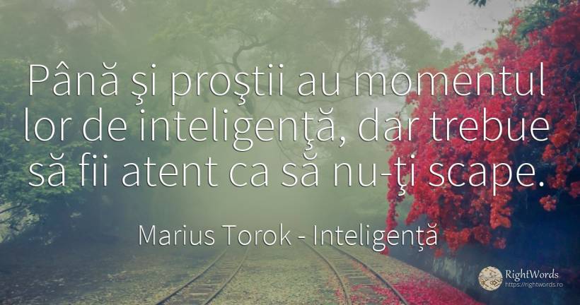 Până şi proştii au momentul lor de inteligenţă, dar... - Marius Torok (Darius Domcea), citat despre inteligență, prostie