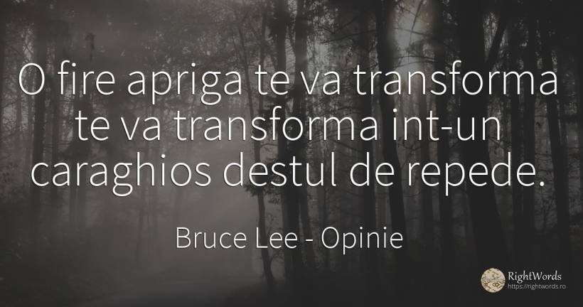 O fire apriga te va transforma te va transforma int-un... - Bruce Lee, citat despre opinie, schimbare, viteză