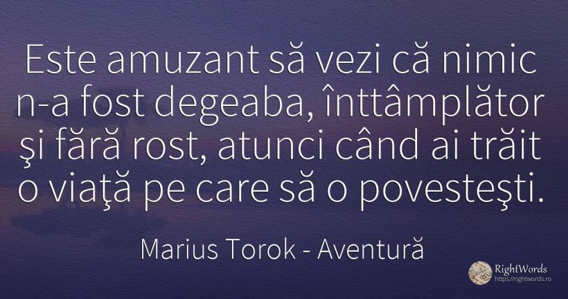 Este amuzant să vezi că nimic n-a fost degeaba, ... - Marius Torok (Darius Domcea), citat despre aventură, nimic, viață