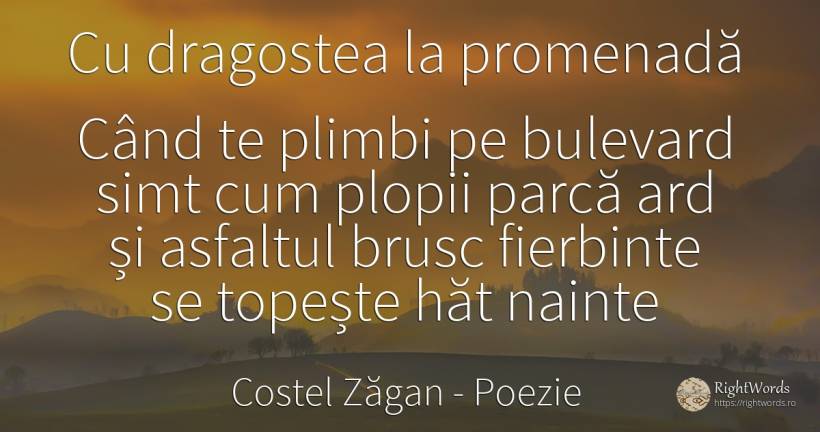 Cu dragostea la promenadă - Costel Zăgan, citat despre poezie, bunul simț, simț, iubire