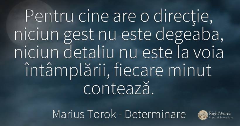 Pentru cine are o direcţie, niciun gest nu este degeaba, ... - Marius Torok (Darius Domcea), citat despre determinare