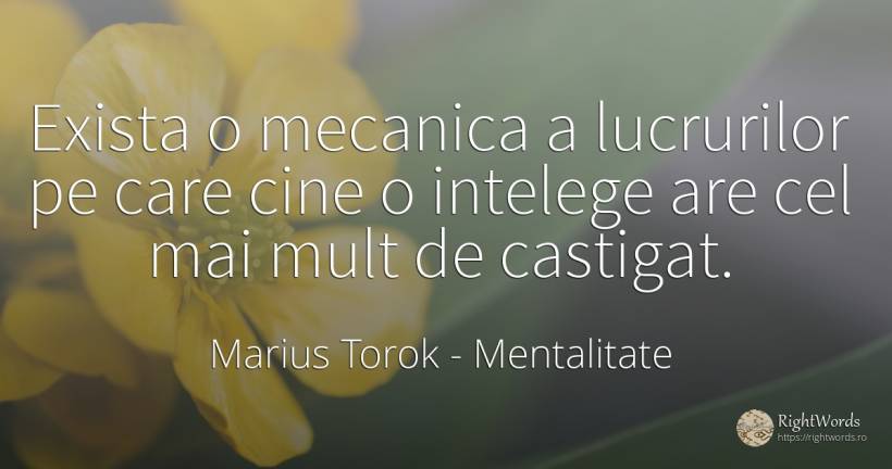 Exista o mecanica a lucrurilor pe care cine o intelege... - Marius Torok (Darius Domcea), citat despre mentalitate