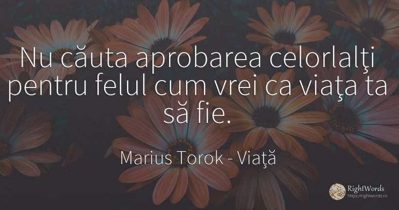 Nu căuta aprobarea celorlalţi pentru felul cum vrei ca... - Marius Torok (Darius Domcea), citat despre viață, căutare