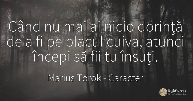 Când nu mai ai nicio dorinţă de a fi pe placul cuiva, ... - Marius Torok (Darius Domcea), citat despre caracter, dorință