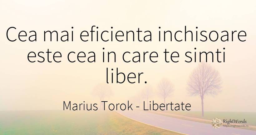 Cea mai eficienta inchisoare este cea in care te simti... - Marius Torok (Darius Domcea), citat despre libertate