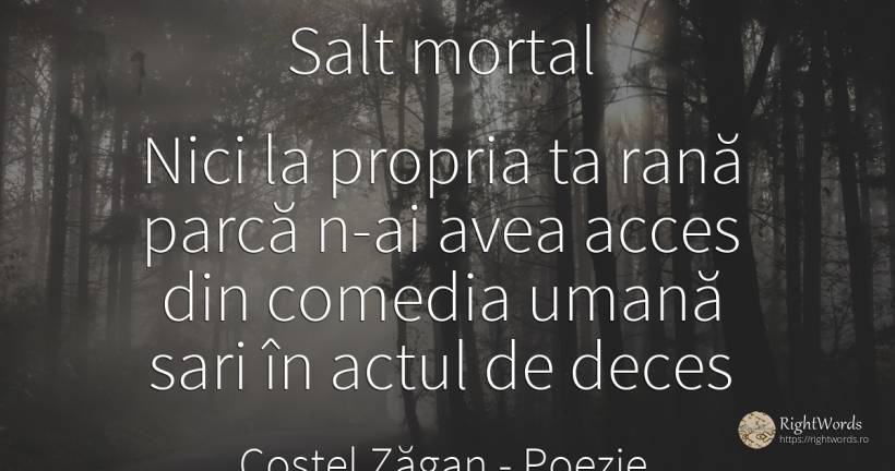 Salt mortal: Nici la propria ta rană parcă n-ai avea acces - Costel Zăgan, citat despre poezie, comedie