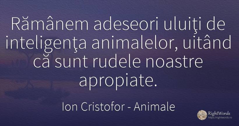 Rămânem adeseori uluiţi de inteligenţa animalelor, uitând... - Ion Cristofor (Ioan Cristofor Filipas), citat despre animale, inteligență