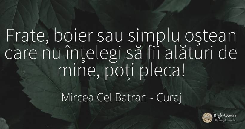 Frate, boier sau simplu oștean care nu înțelegi să fii... - Mircea Cel Batran, citat despre curaj, simplitate