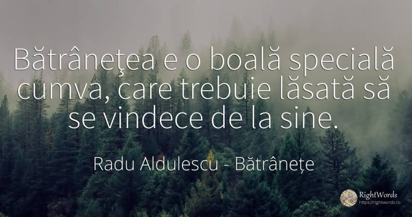 Bătrâneţea e o boală specială cumva, care trebuie lăsată... - Radu Aldulescu, citat despre bătrânețe, boală, acasă, casă