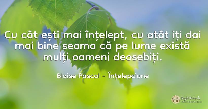 Cu cât ești mai înțelept, cu atât iți dai mai bine seama... - Blaise Pascal, citat despre înțelepciune, lume, oameni, bine