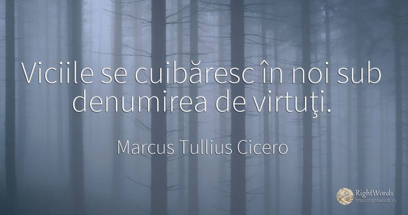 Viciile se cuibăresc în noi sub denumirea de virtuţi. - Marcus Tullius Cicero