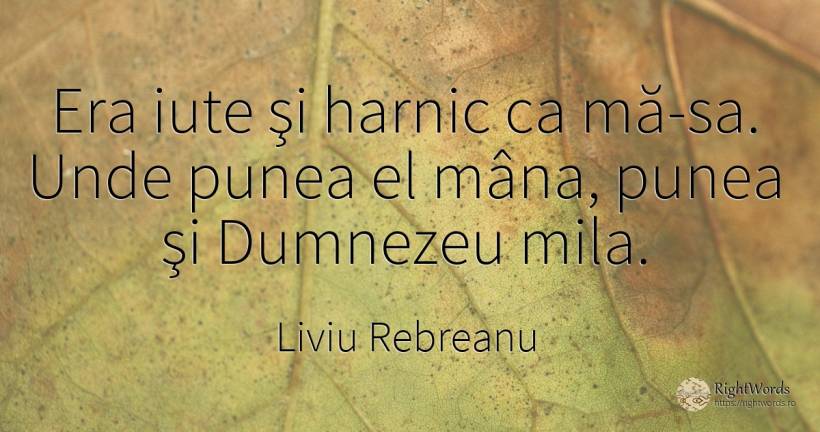 Era iute şi harnic ca mă-sa. Unde punea el mâna, punea şi... - Liviu Rebreanu