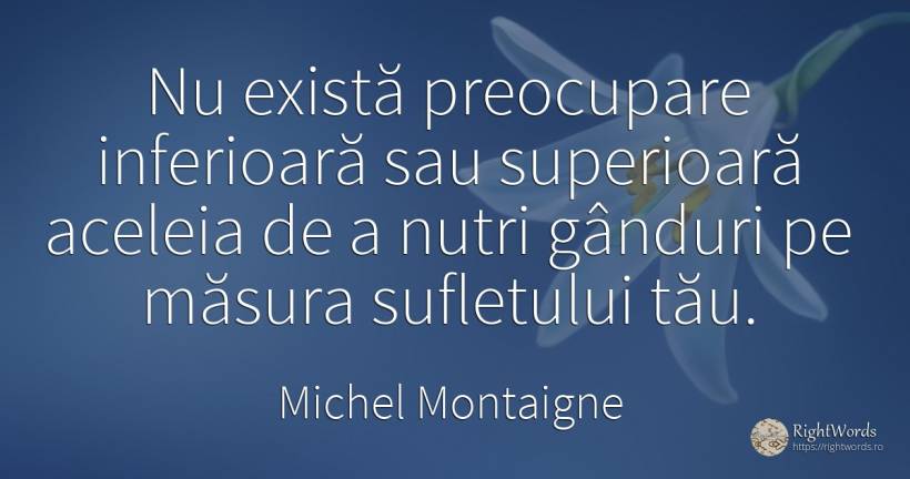 Nu există preocupare inferioară sau superioară aceleia de... - Michel Montaigne, citat despre cugetare, suflet, măsură