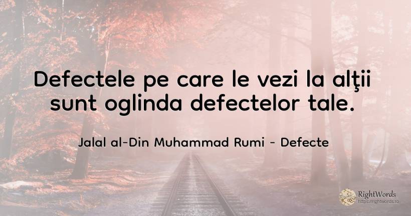 Defectele pe care le vezi la alţii sunt oglinda... - Jalāl ad-Dīn Muhammad Rūmī, citat despre defecte