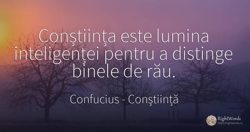 Conștiința este lumina inteligenței pentru a distinge... - Confucius, citat despre conștiință, înțelepciune, inteligență, bine, lumină, rău