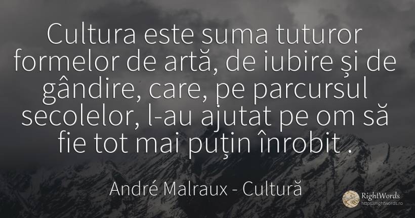Cultura este suma tuturor formelor de artă, de iubire și... - André Malraux, citat despre cultură, cugetare, iubire, artă, artă fotografică
