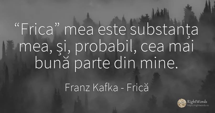 Frica mea este substanţa mea, şi, probabil, cea mai... - Franz Kafka, citat despre frică, posibilitate, zi de naștere